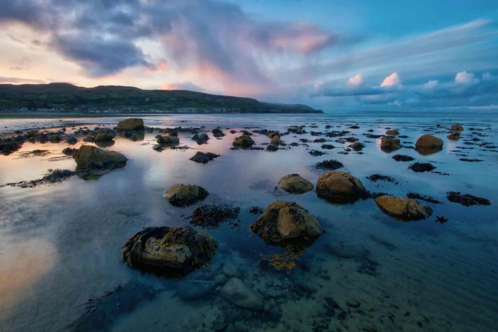 côte irlandaise au coucher du soleil avec rochers et algues